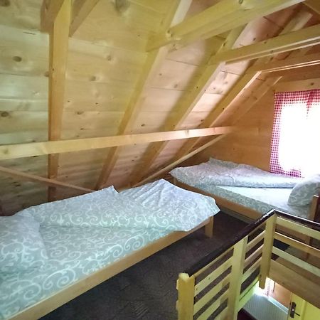 Apartments Vila Selena - Golija Rudno Εξωτερικό φωτογραφία