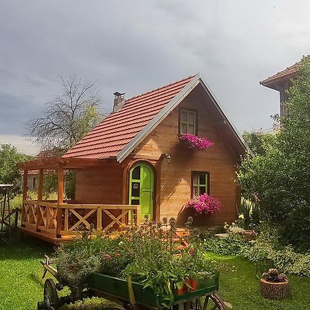 Apartments Vila Selena - Golija Rudno Εξωτερικό φωτογραφία