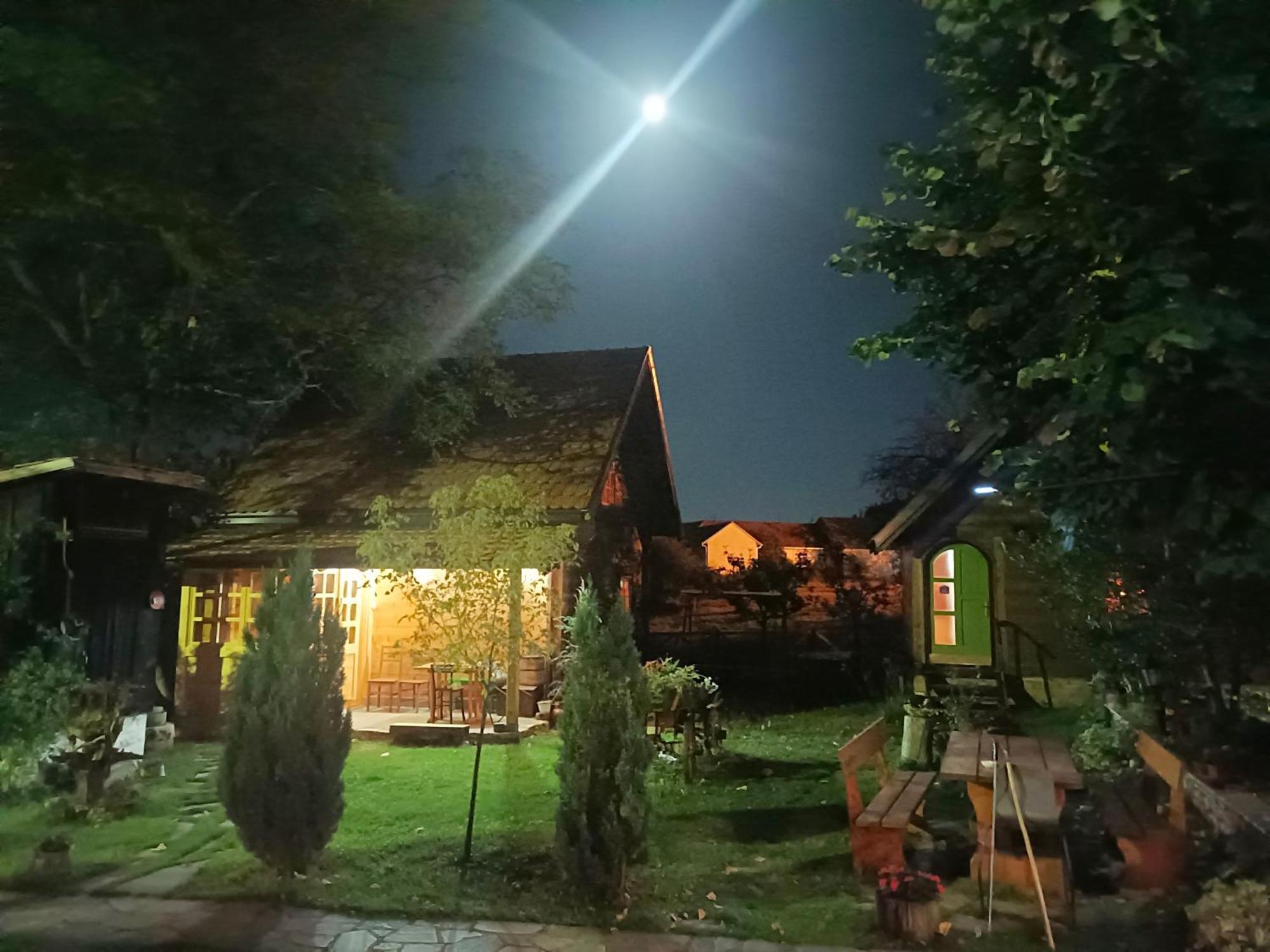 Apartments Vila Selena - Golija Rudno Εξωτερικό φωτογραφία