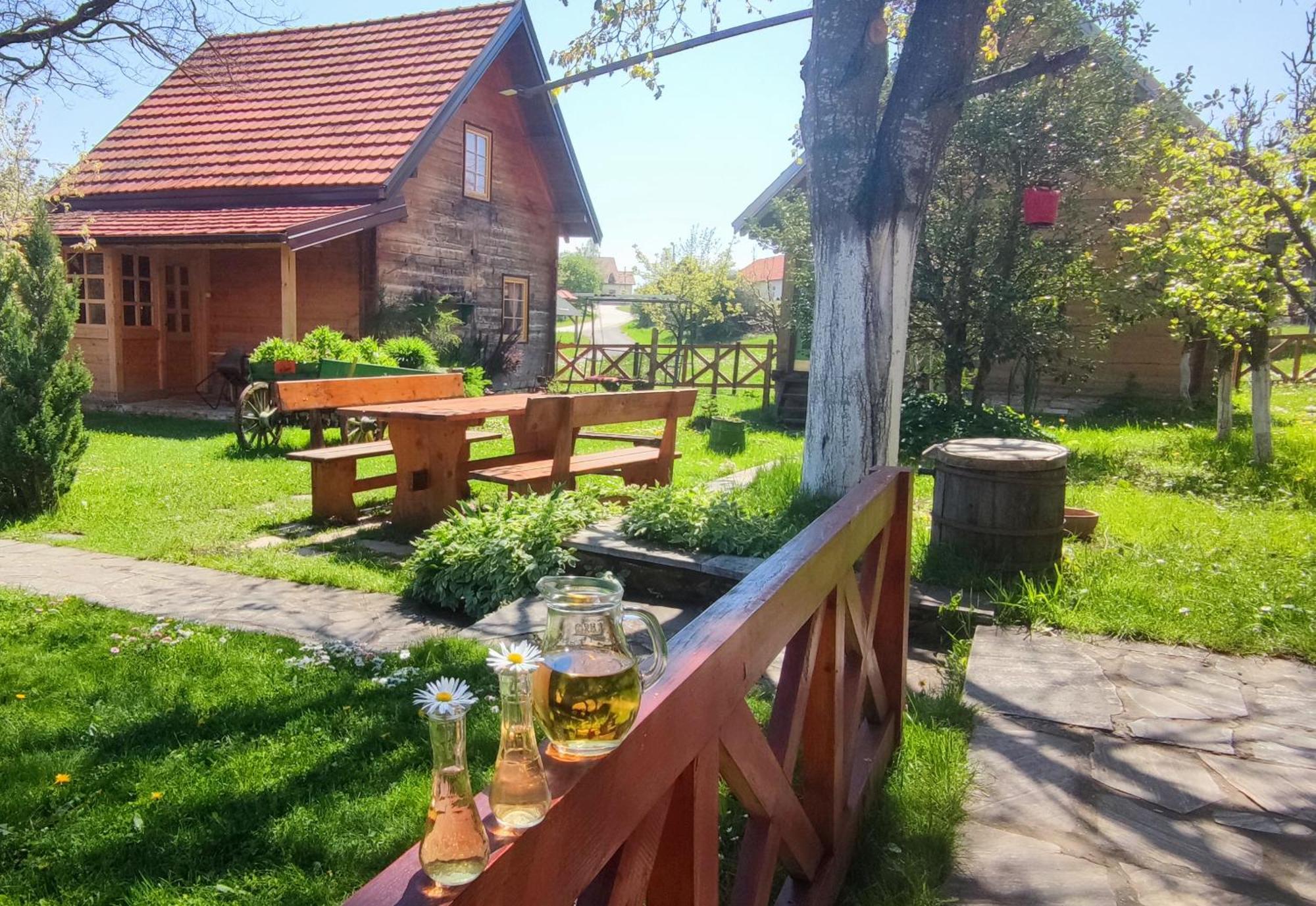 Apartments Vila Selena - Golija Rudno Εξωτερικό φωτογραφία