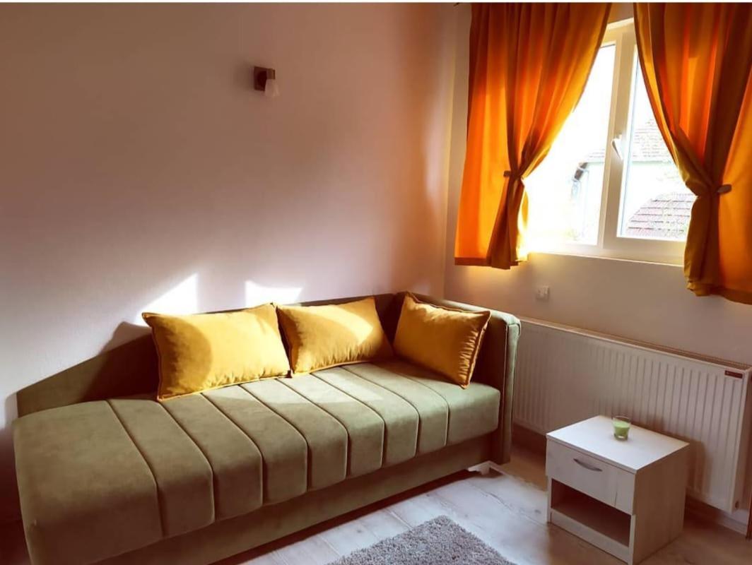 Apartments Vila Selena - Golija Rudno Εξωτερικό φωτογραφία