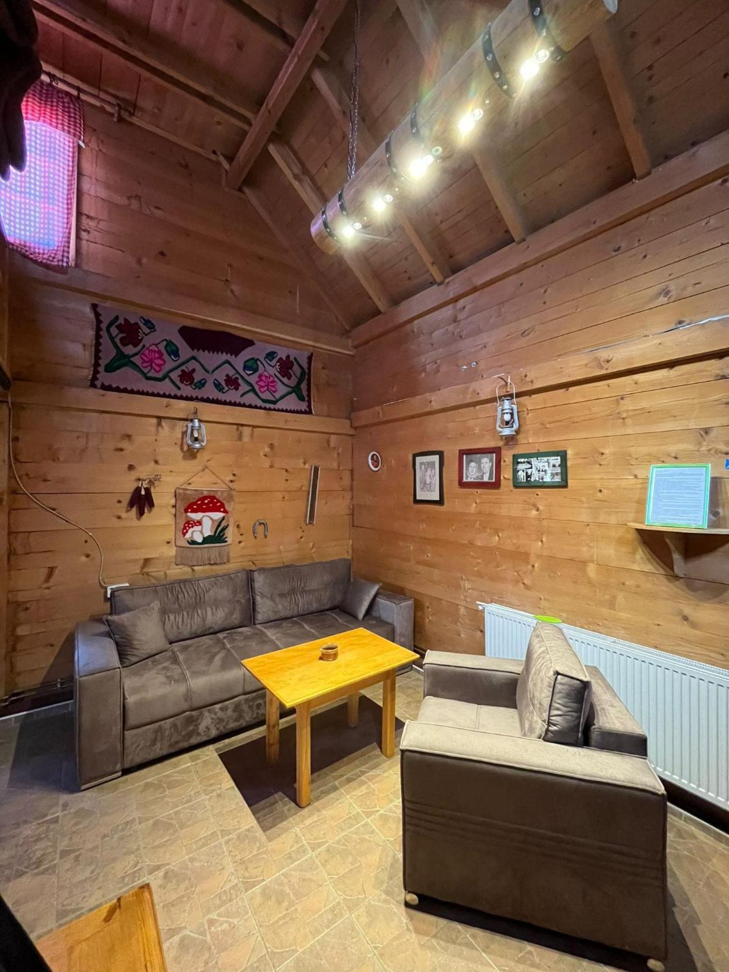 Apartments Vila Selena - Golija Rudno Εξωτερικό φωτογραφία