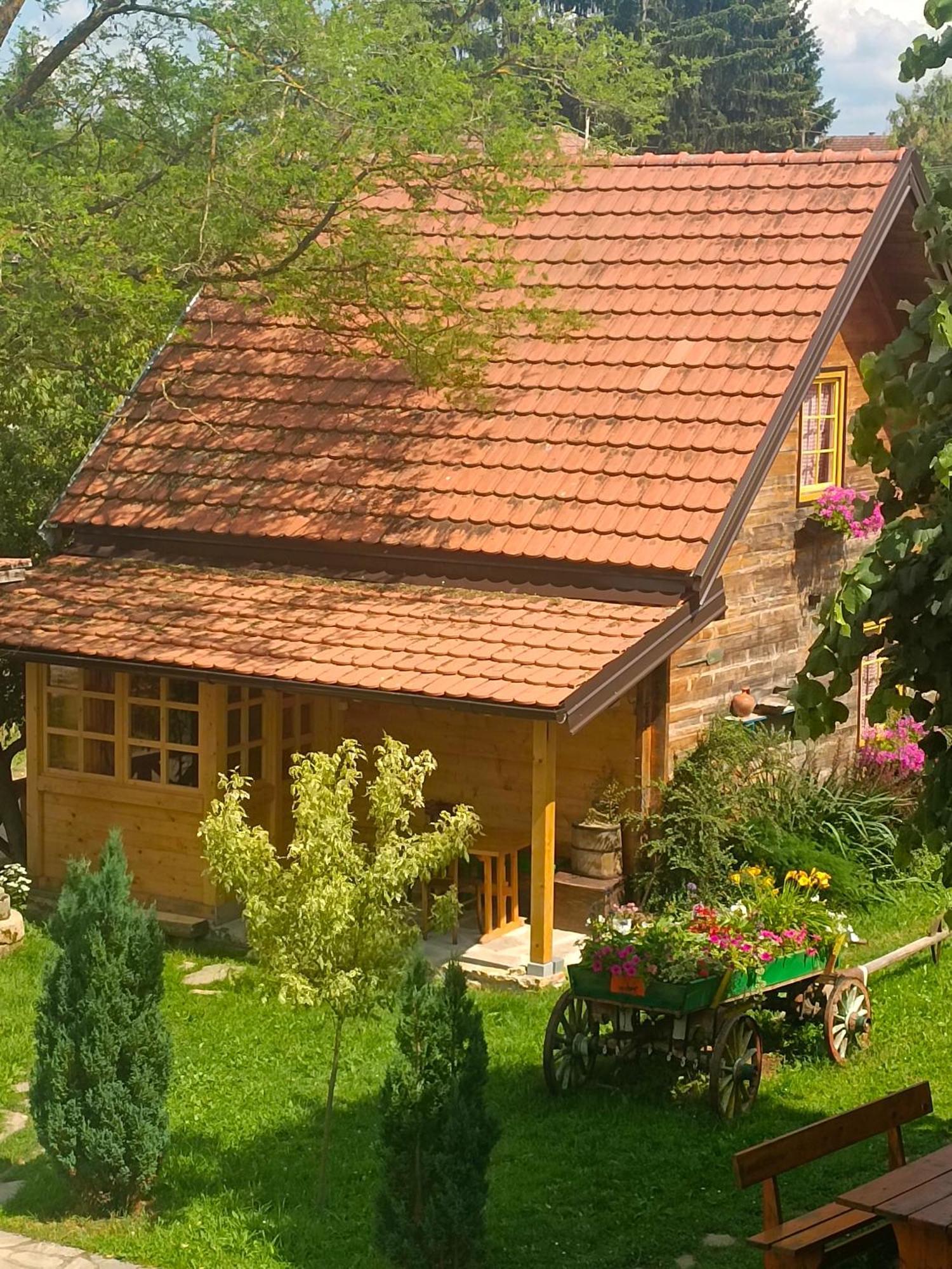 Apartments Vila Selena - Golija Rudno Εξωτερικό φωτογραφία