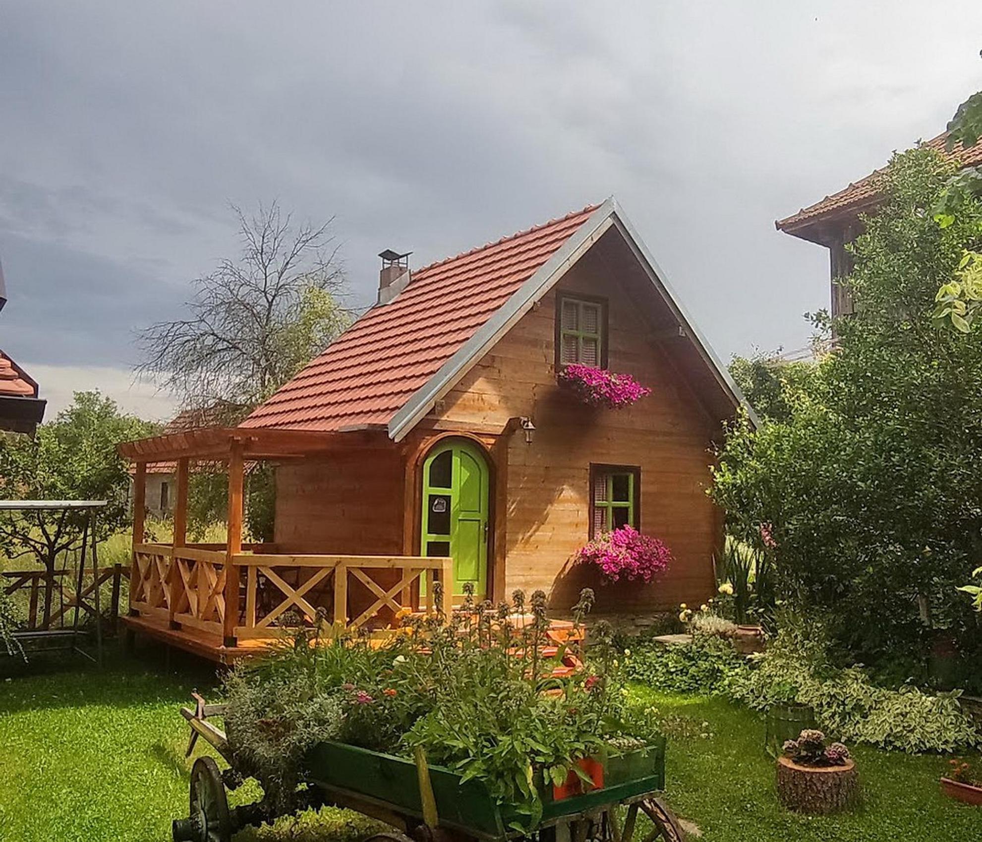 Apartments Vila Selena - Golija Rudno Εξωτερικό φωτογραφία