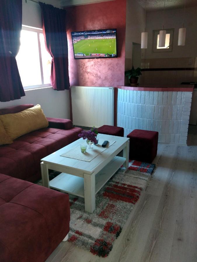 Apartments Vila Selena - Golija Rudno Εξωτερικό φωτογραφία