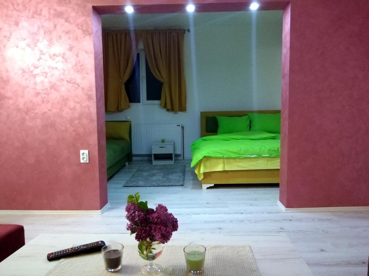 Apartments Vila Selena - Golija Rudno Εξωτερικό φωτογραφία
