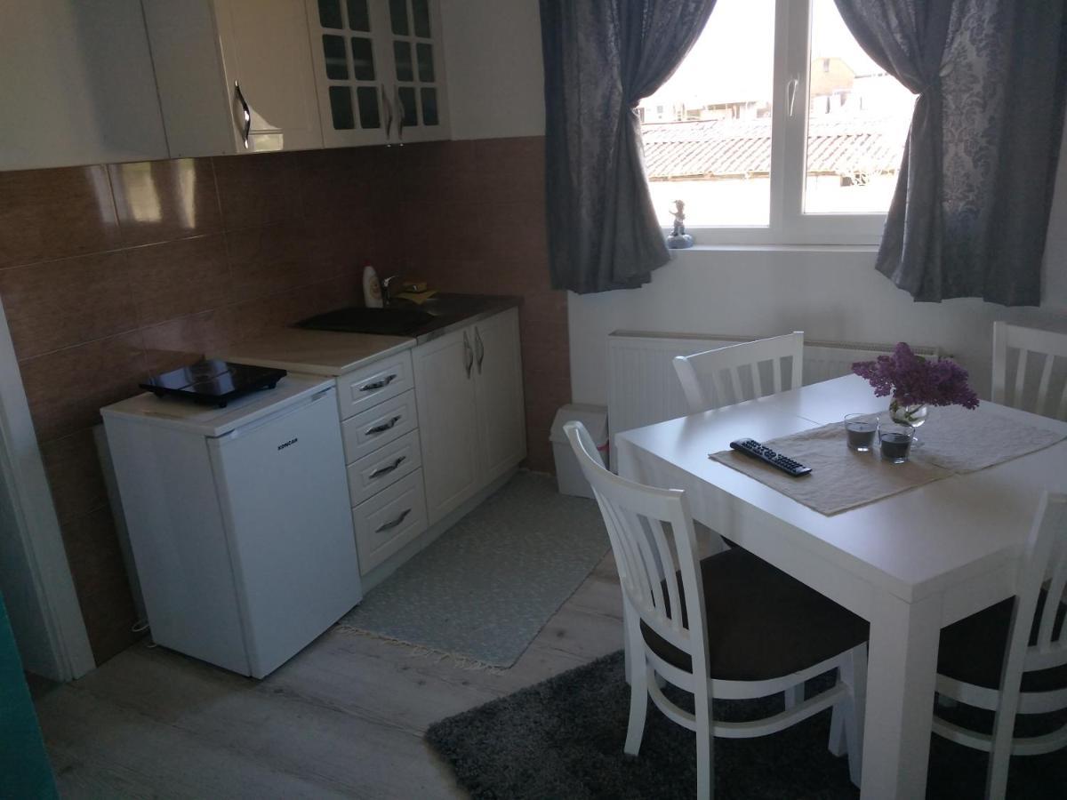Apartments Vila Selena - Golija Rudno Εξωτερικό φωτογραφία