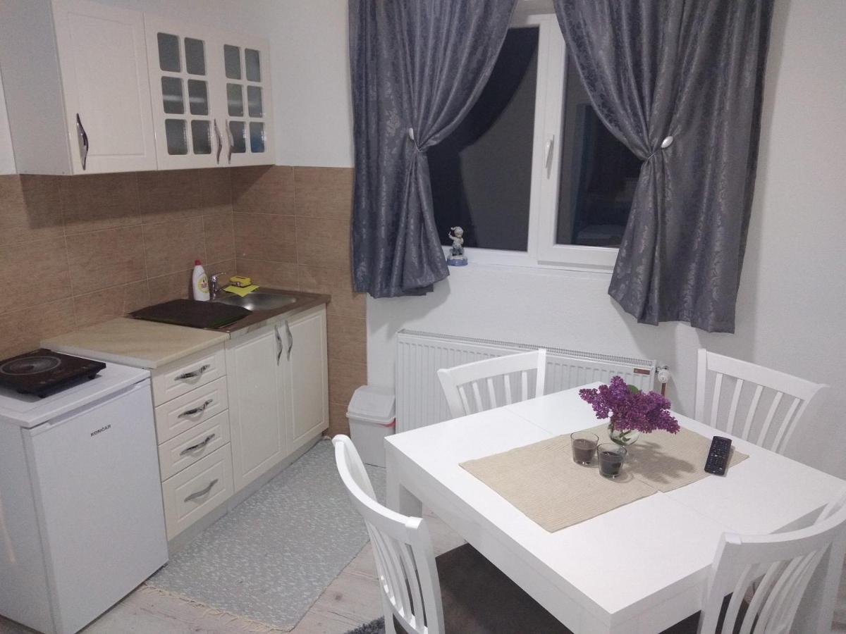 Apartments Vila Selena - Golija Rudno Εξωτερικό φωτογραφία