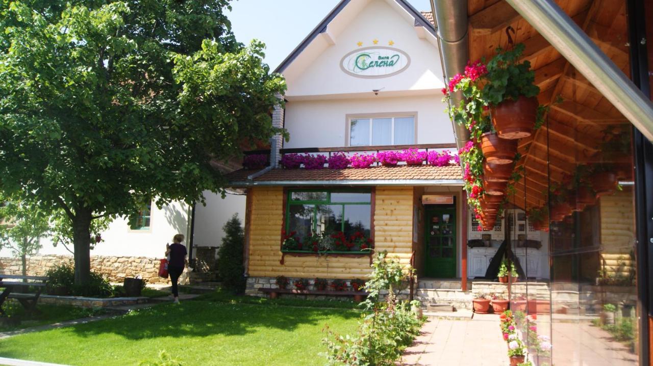 Apartments Vila Selena - Golija Rudno Εξωτερικό φωτογραφία
